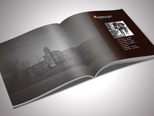 企業(yè)宣傳冊設計